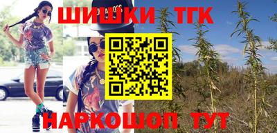 дмт Новодвинск