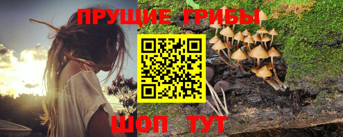 Тавда  Галлюциногенные грибы мухоморы  наркотики  Вход с VPN 